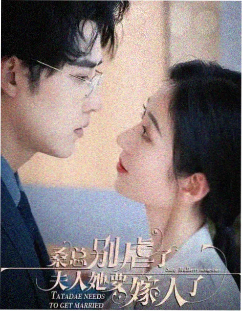 白塔旧事 年代群像剧全集